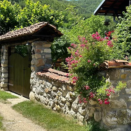 Farm stay Tosa Poganovo