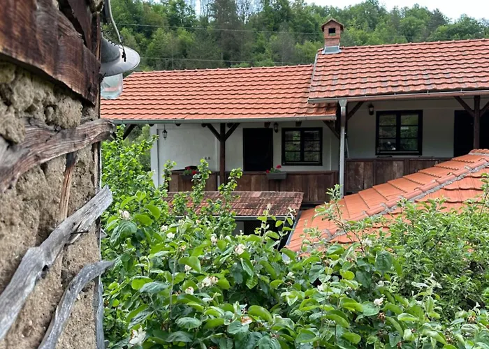 Κατάλυμα σε φάρμα Tosa Poganovo